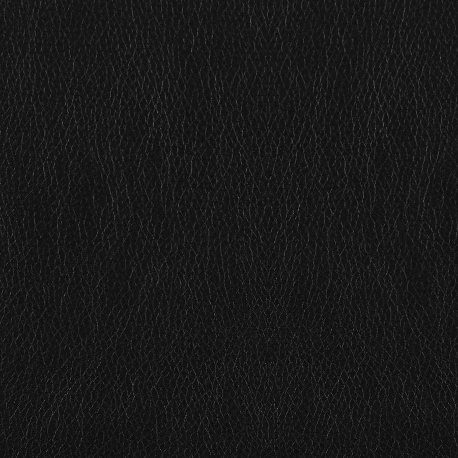 8566BLK-2PC Ensemble de 2 canapés Lewes en cuir noir de style Mid-Century Modern