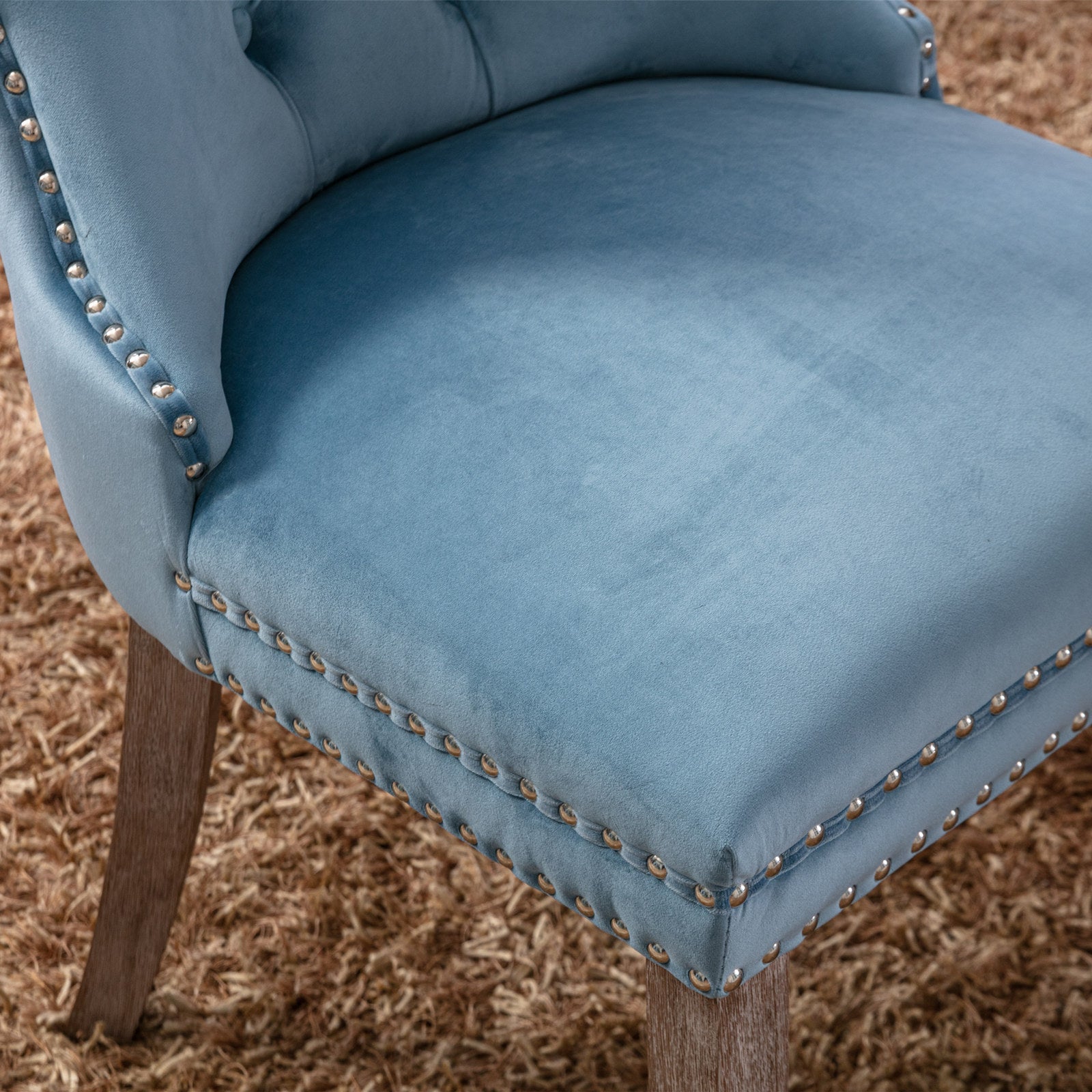 Rosewick Modern Tufted Velvet Nailhead Trim Solid Wood Upholstered Dining Chair with Wood Legs, Set of 2