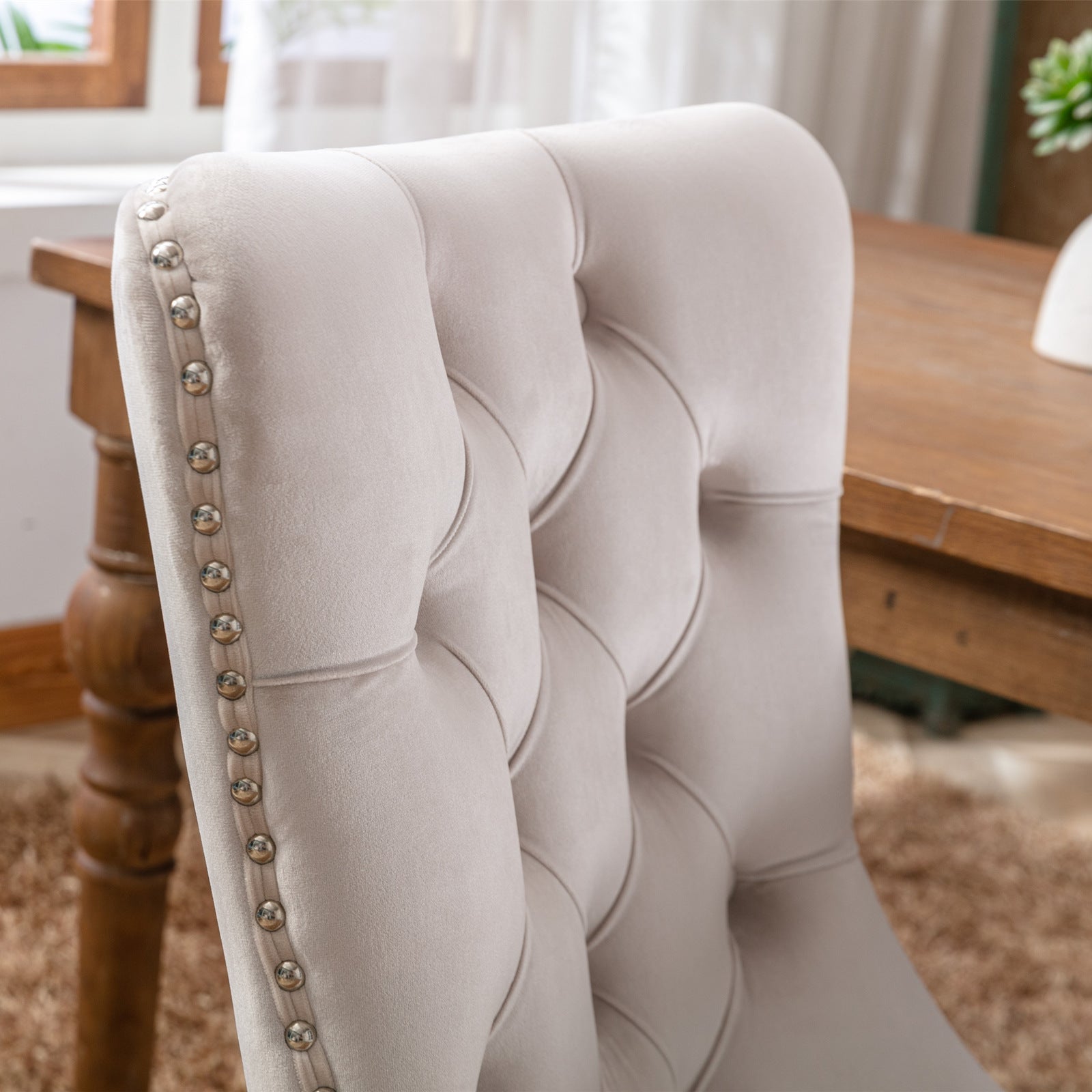 Rosewick Modern Tufted Velvet Nailhead Trim Solid Wood Upholstered Dining Chair with Wood Legs, Set of 2