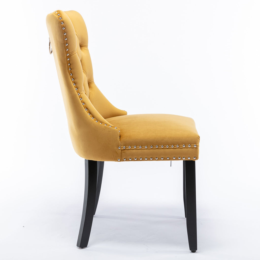 Rosewick Modern Tufted Velvet Nailhead Trim Solid Wood Upholstered Dining Chair with Wood Legs, Set of 2