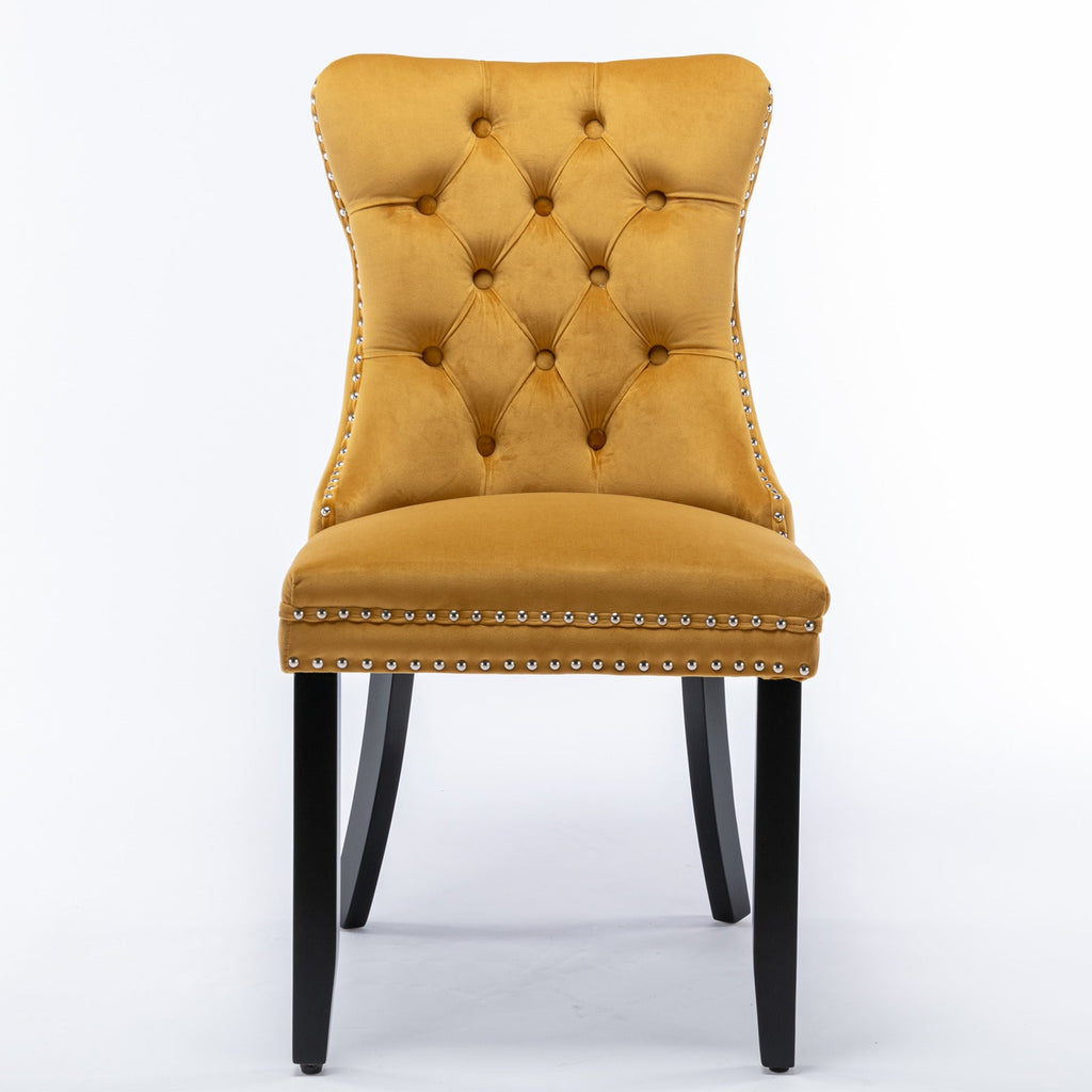 Rosewick Modern Tufted Velvet Nailhead Trim Solid Wood Upholstered Dining Chair with Wood Legs, Set of 2