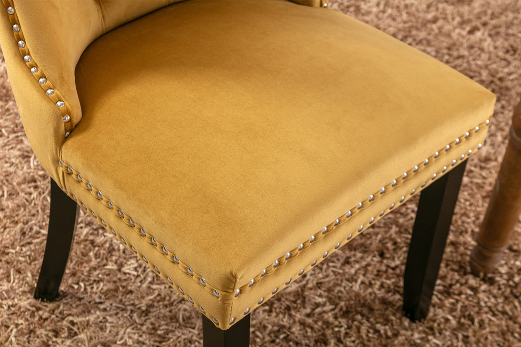 Rosewick Modern Tufted Velvet Nailhead Trim Solid Wood Upholstered Dining Chair with Wood Legs, Set of 2