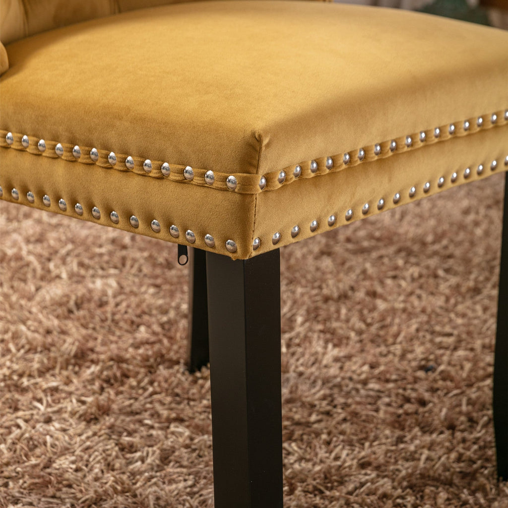 Rosewick Modern Tufted Velvet Nailhead Trim Solid Wood Upholstered Dining Chair with Wood Legs, Set of 2
