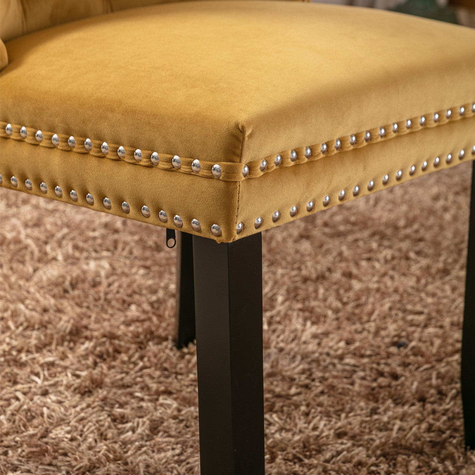 Rosewick Modern Tufted Velvet Nailhead Trim Solid Wood Upholstered Dining Chair with Wood Legs, Set of 2