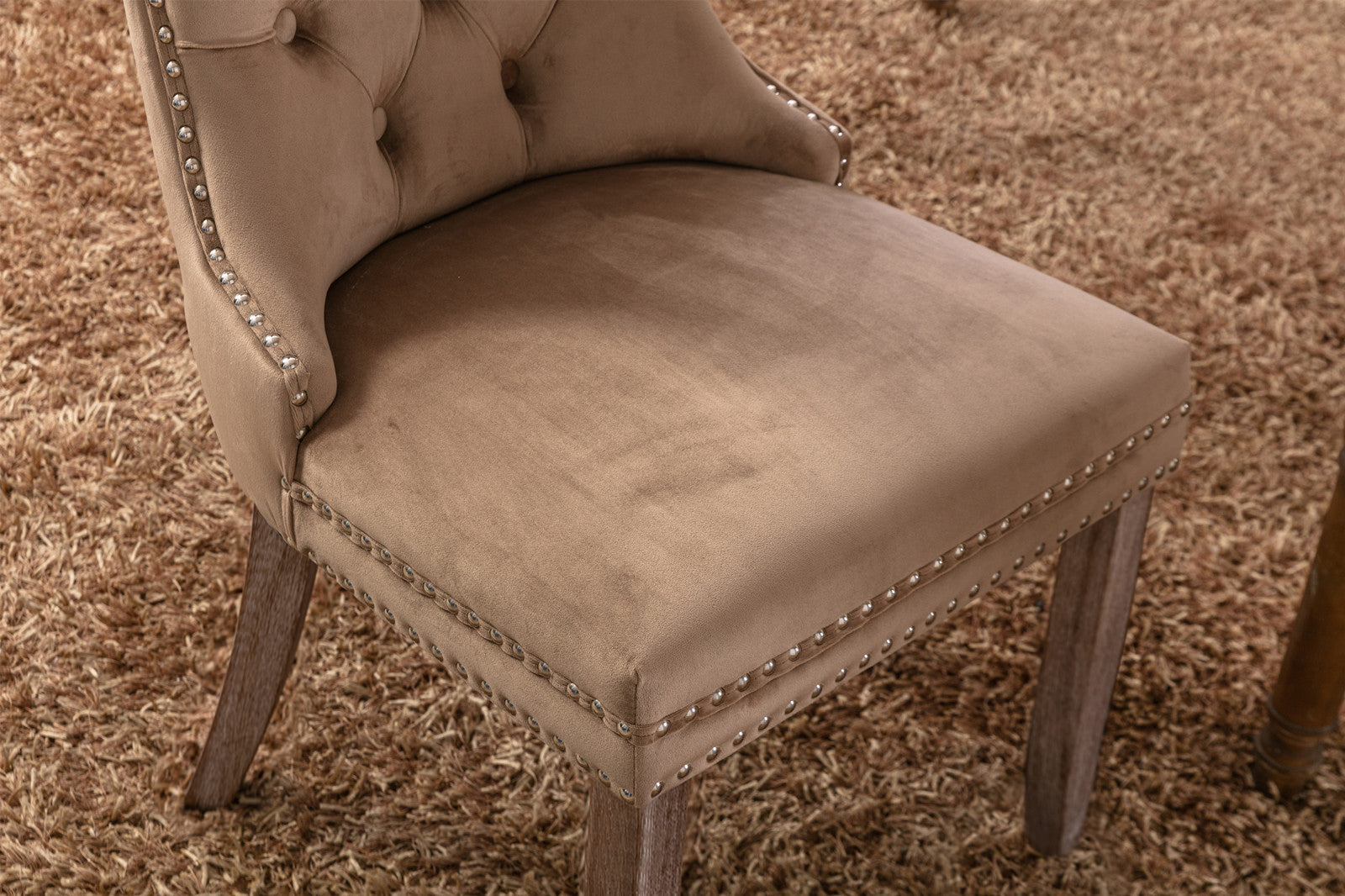 Rosewick Modern Tufted Velvet Nailhead Trim Solid Wood Upholstered Dining Chair with Wood Legs, Set of 2