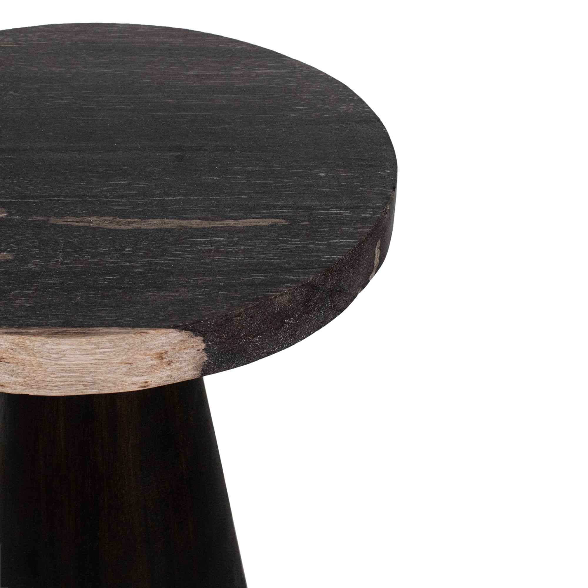 Kayu Petrifed Wood Pedestal Table