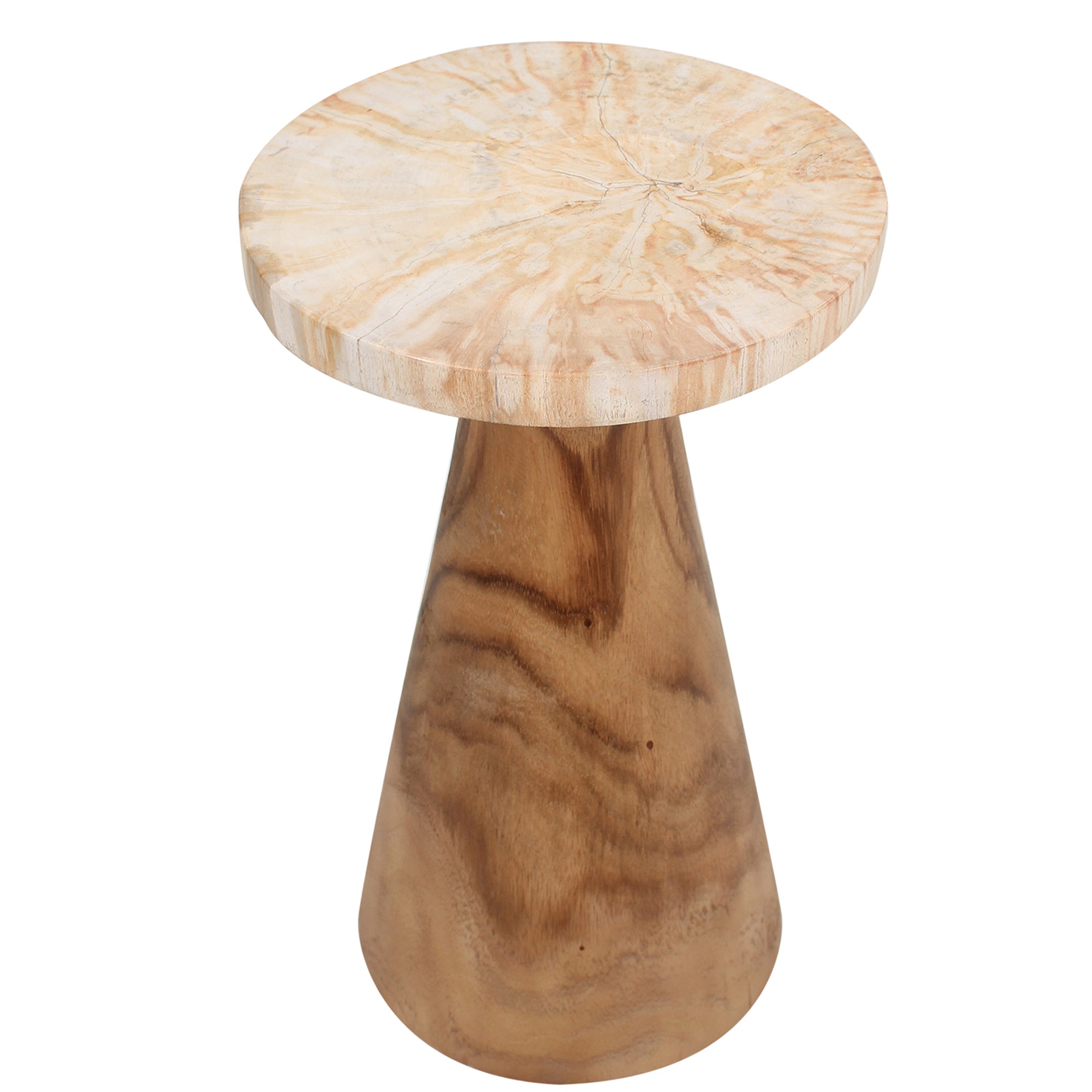 Kayu Petrifed Wood Pedestal Table
