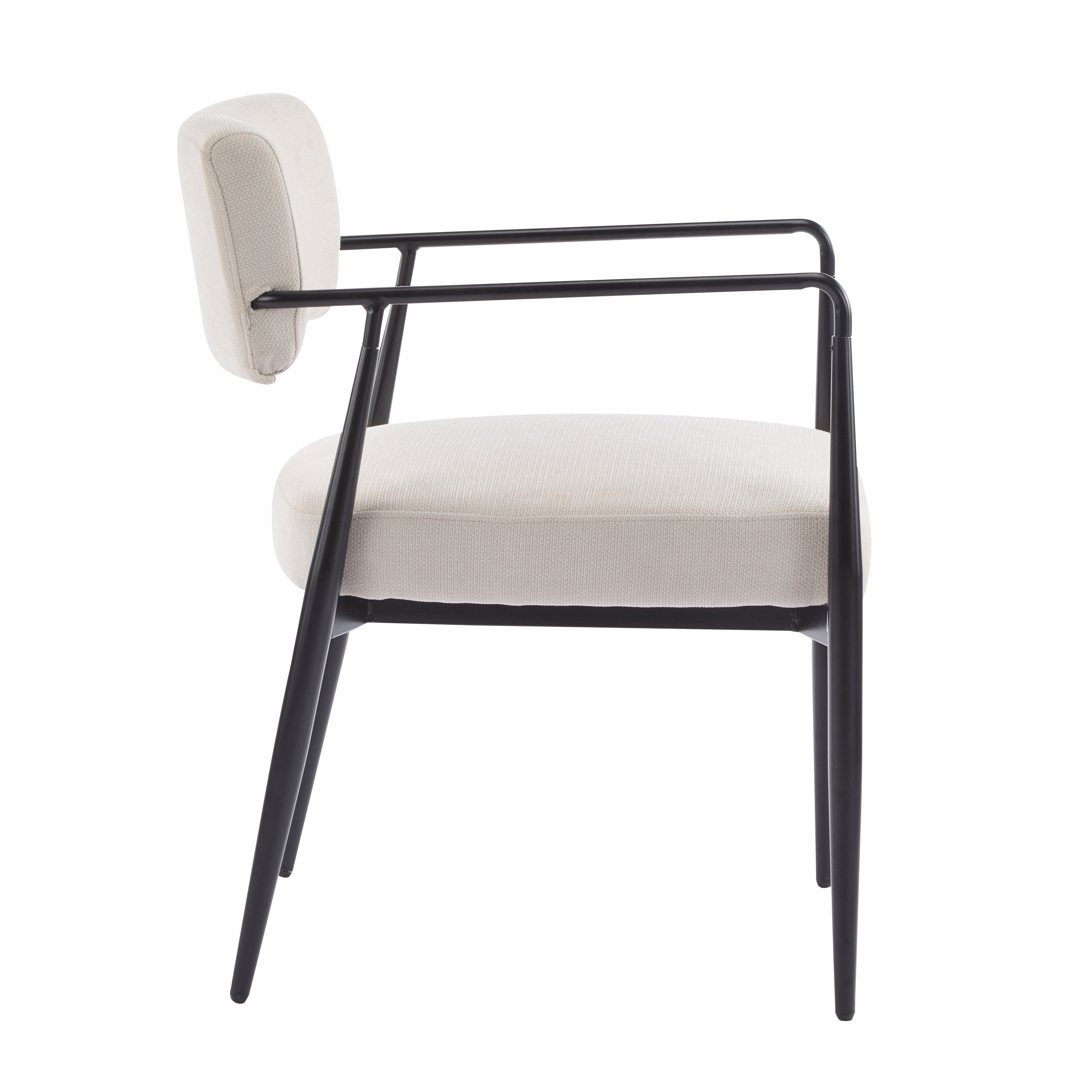 Nora Modern Metal Frame Dining Chair, Set of 2